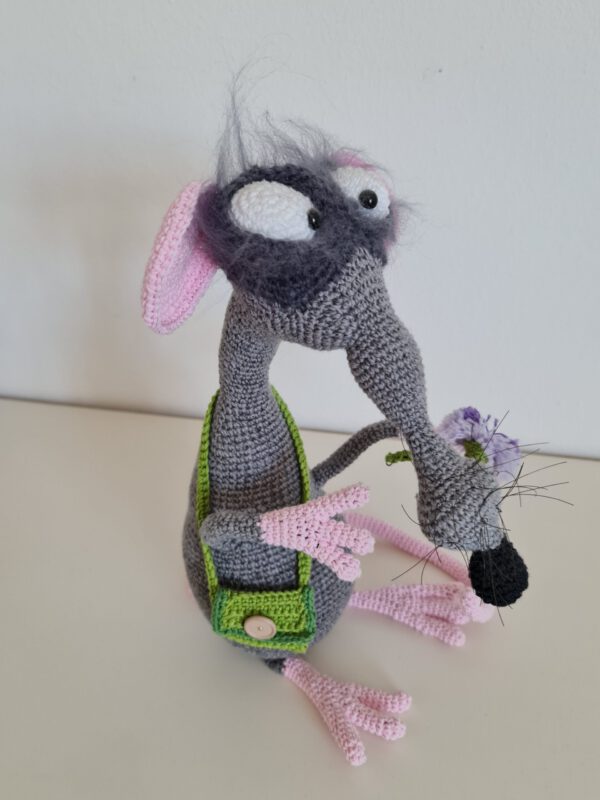Hausratte Fritz – Bild 2